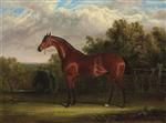 Negotiator. a Bay Racehorse in a Landscape