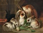 Rabbits in an Interior