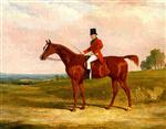 Sir Hugh Hamilton Mortimer. Master of the Old Surrey Foxhounds. on a chestnut hunter in an extensive