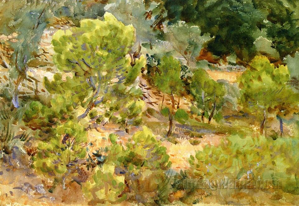 Majorca: Trees on a Hillside