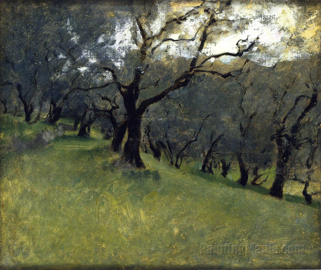 Olive Trees 1878