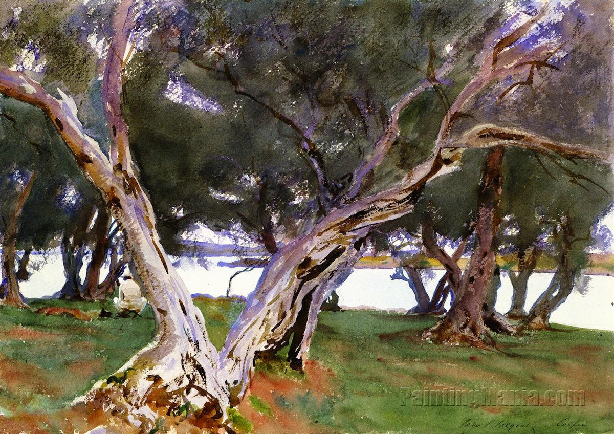 Olive Trees, Corfu 1909