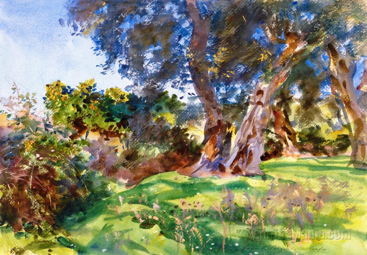 Olive Trees, Corfu (1909)