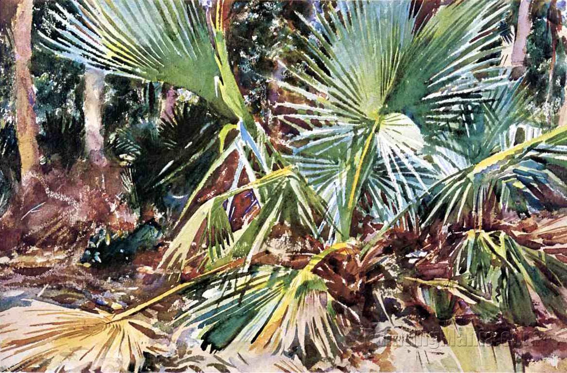 Palmettos, Florida