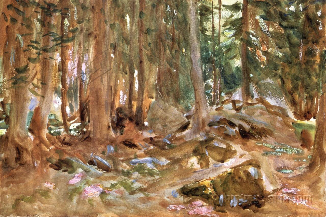 Pine Woods, Purtud