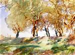 Olive Grove 1913