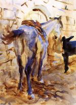 Saddle Horse. Palestine