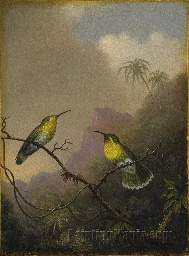 Two Humming Birds