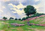 Mereville, a Flock of Sheep