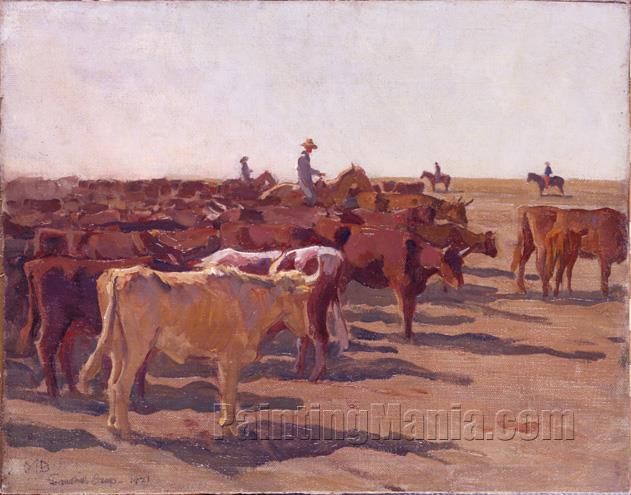 Beef Herd, Sandhill Camp