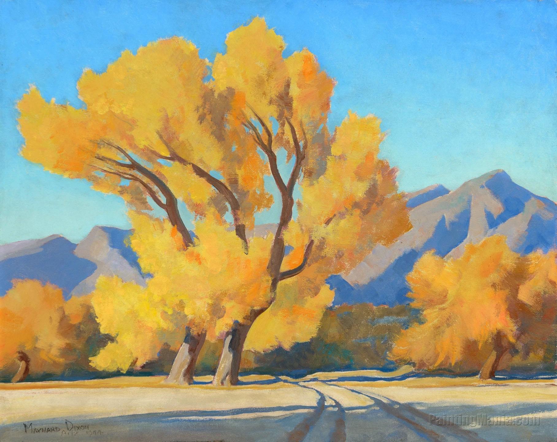 Desert Cottonwoods