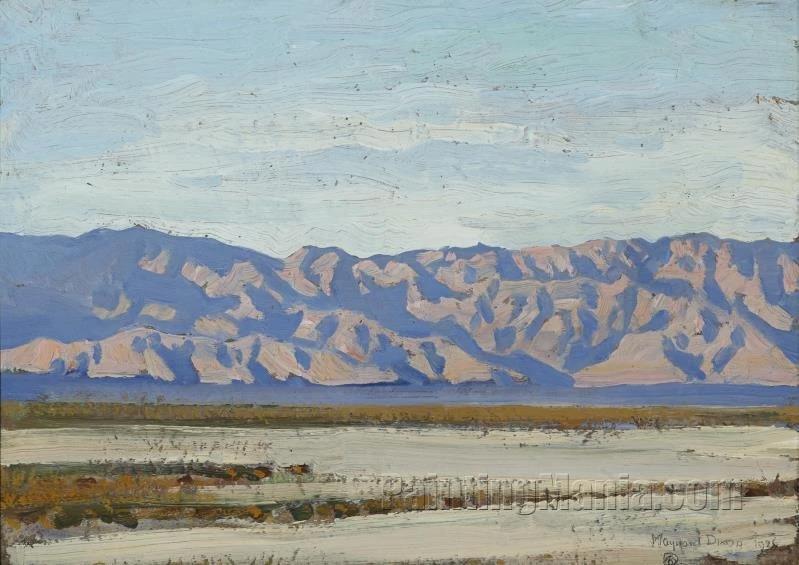 Desert Expanse