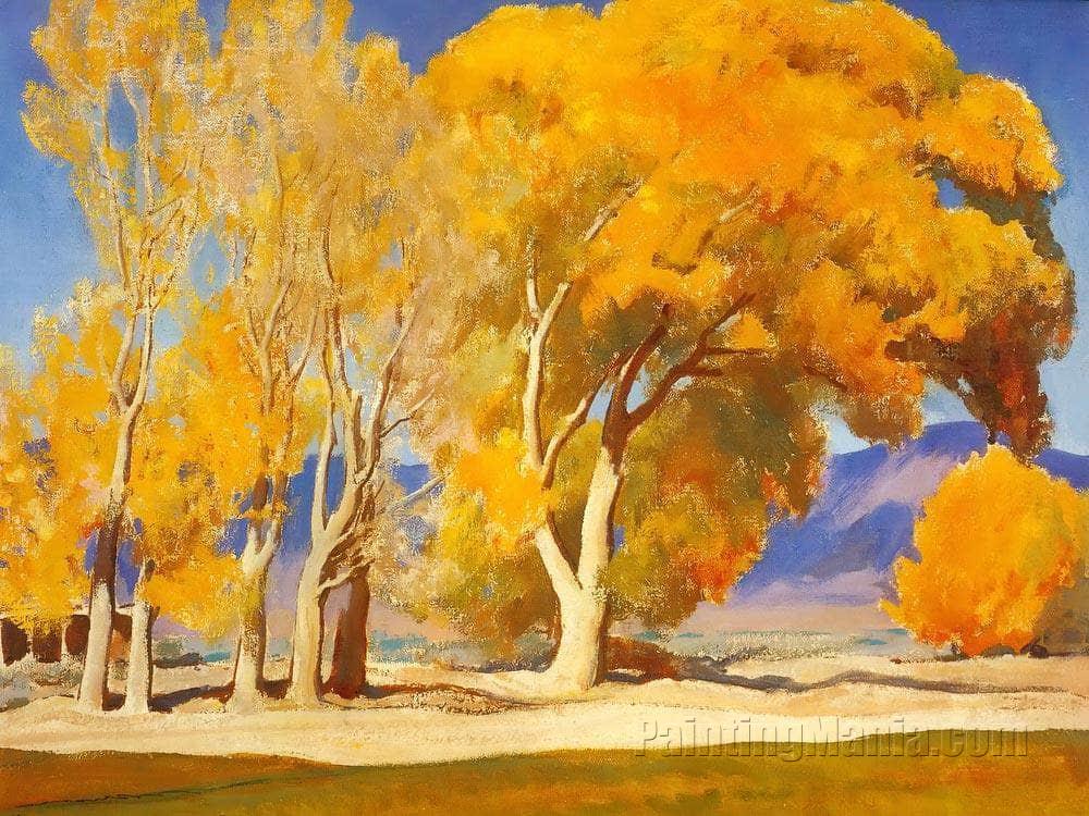 Fall Cottonwoods