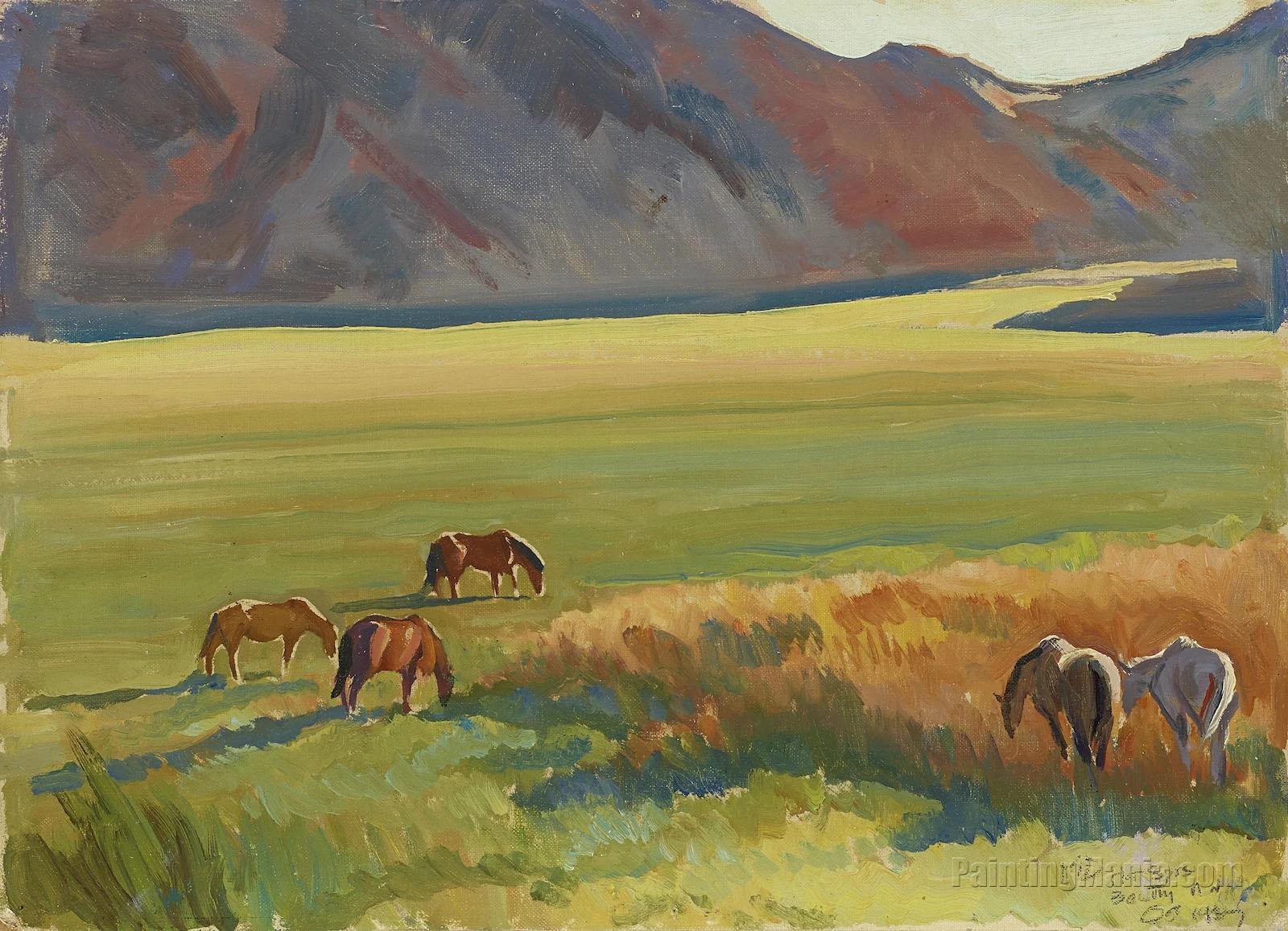 Meadow and Horses