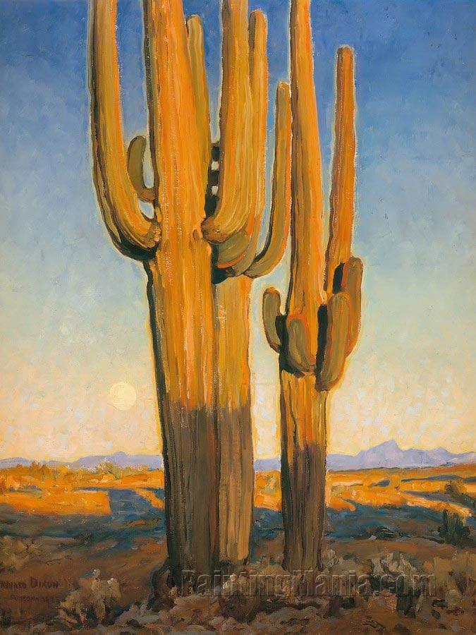 Saguaros at Sunset