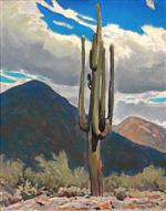 The Saguaro