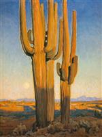 Saguaros at Sunset