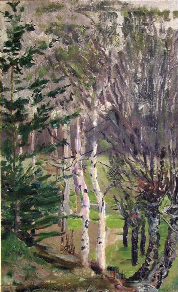 Landscape in Spring