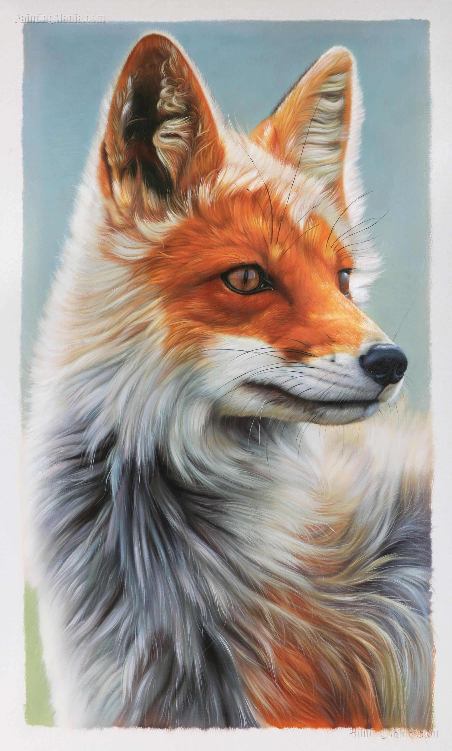 Wild Fox