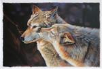 Wolf Couple in Love Portrait