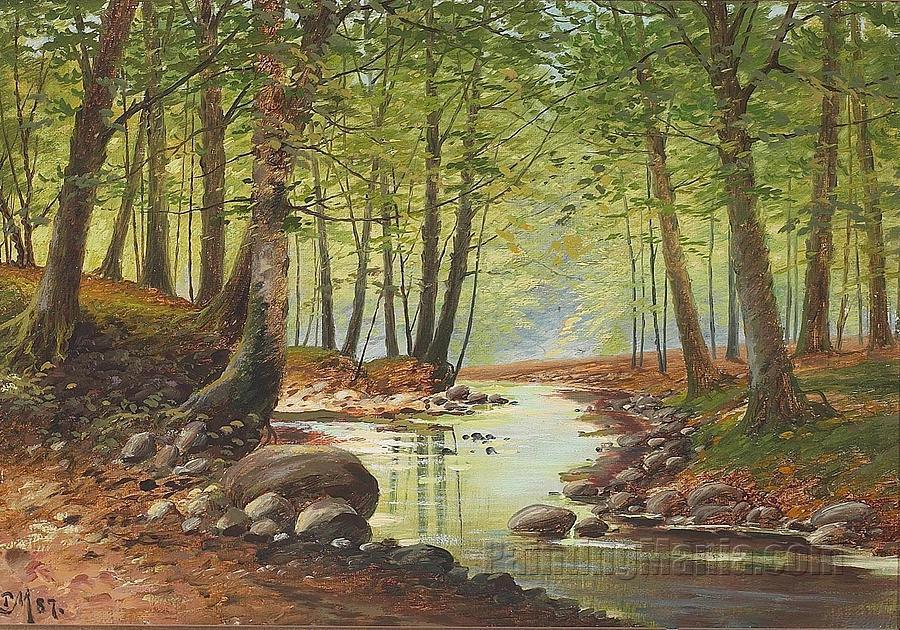 Forest scene by a stream