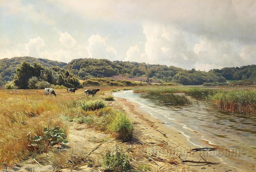 View from Sokilde with cows grazing near a lake