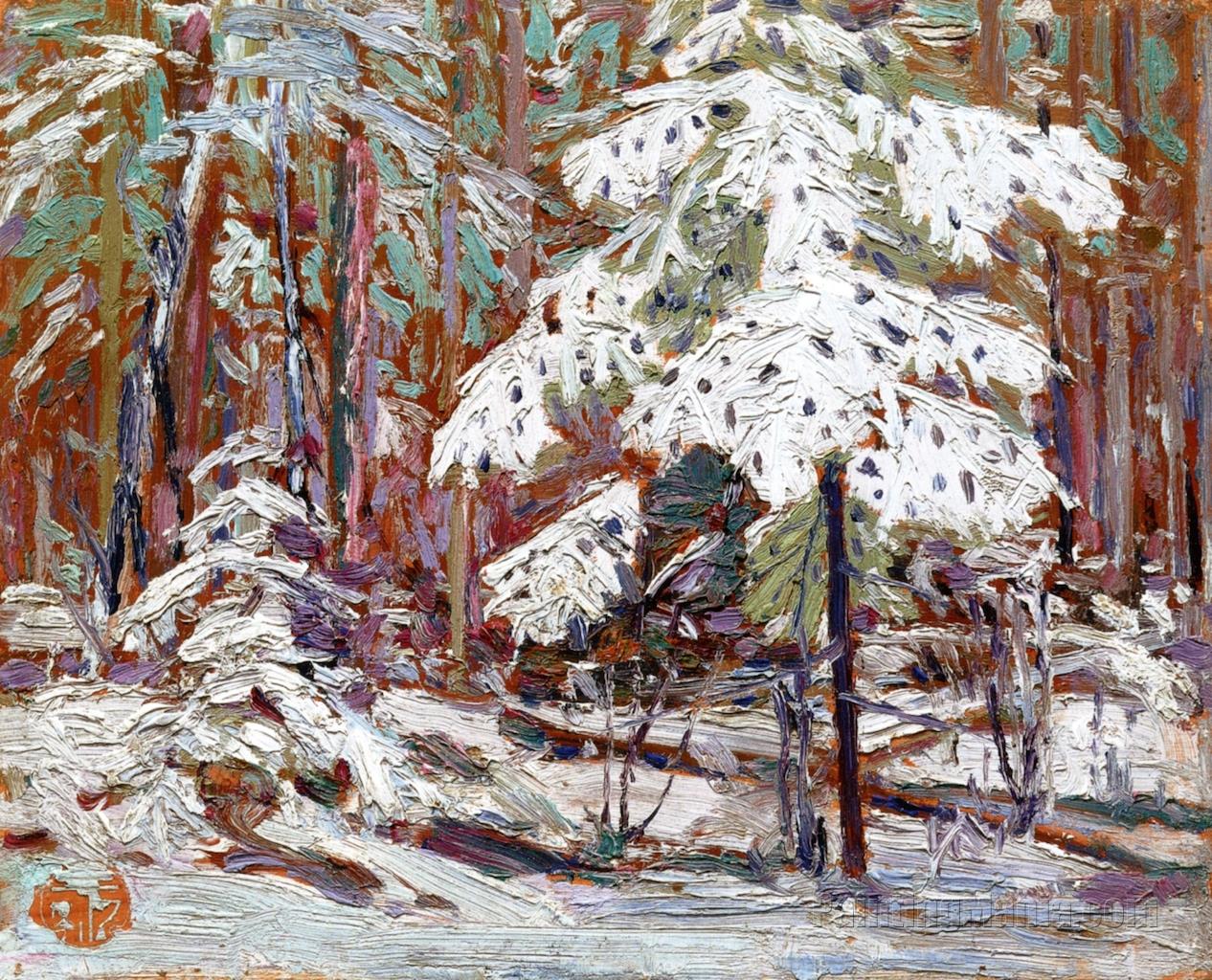 Snow in the Woods