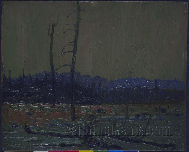 Tamarack Swamp, Dawn