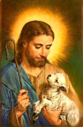 Jesus Lamb