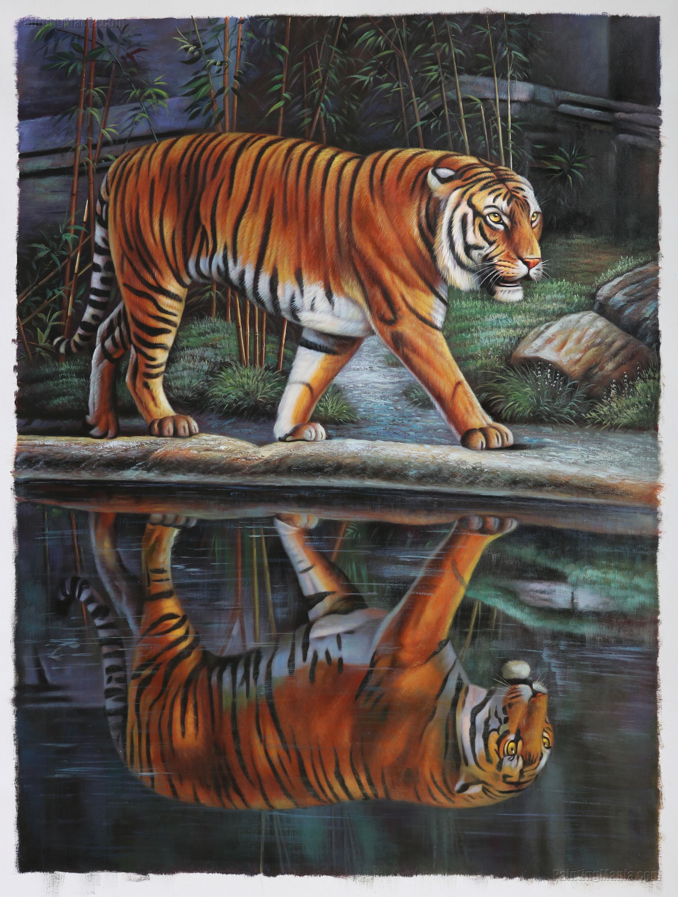 A Siberian Tiger Walking by the River with Reflection