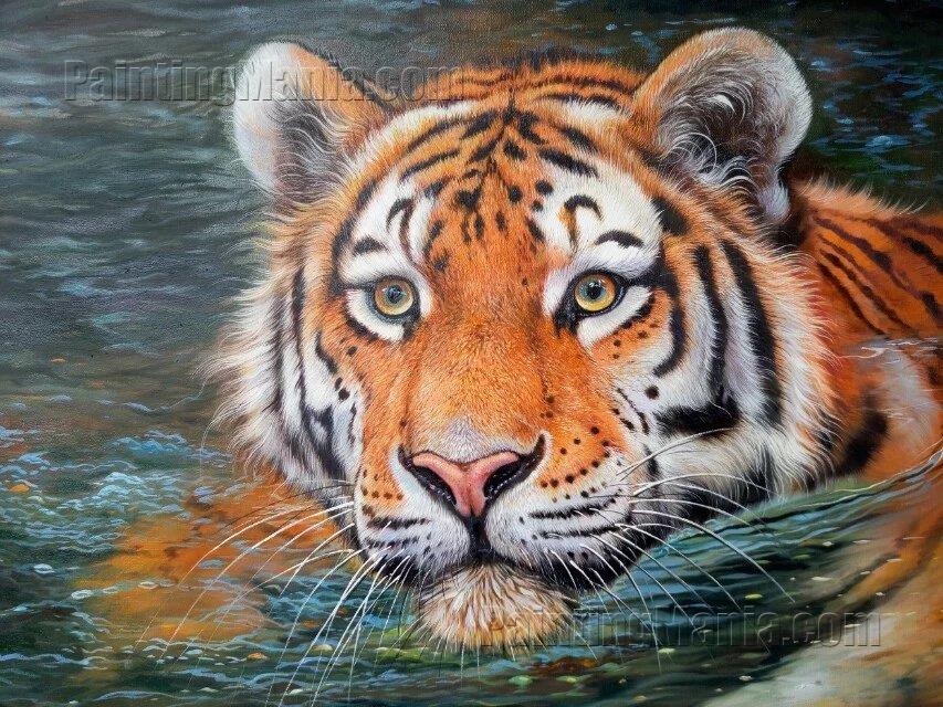 Animals-Tiger-Stripes in the water - Sipo Liimatainen - Paintings & Prints,  Animals, Birds, & Fish, Wild Cats, Tigers - ArtPal