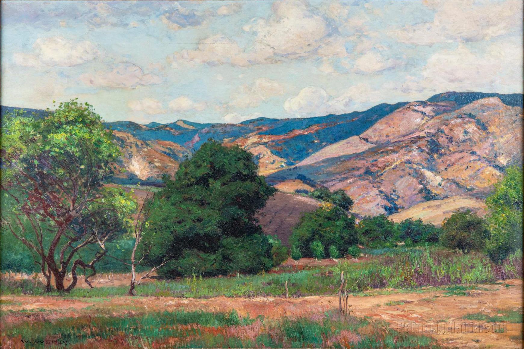 California Landscape 2