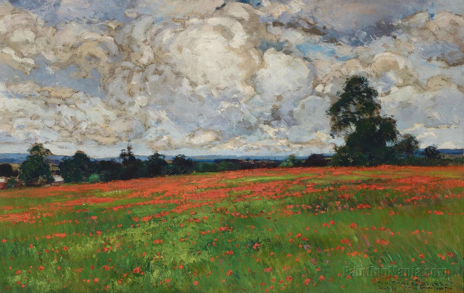 Clouds over a Field of Poppies