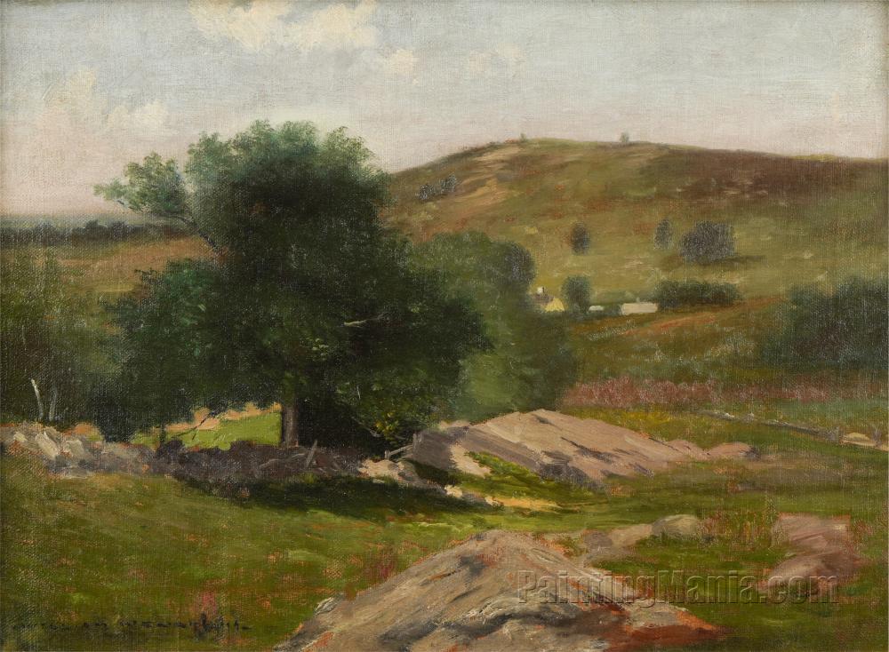 Hillside Landscape