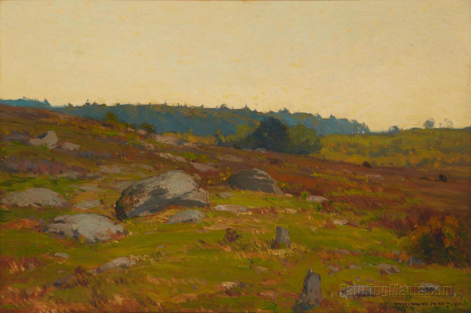 Landscape with Boulders