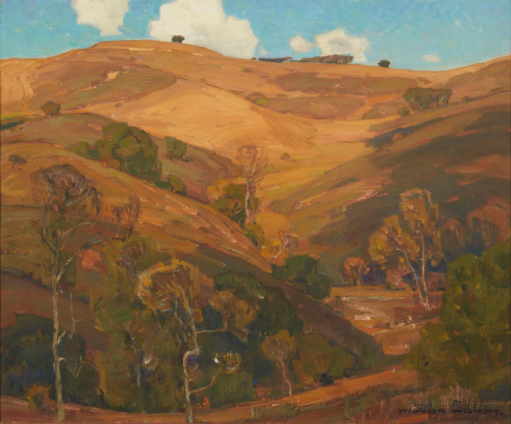 Oaks in a Rolling Hills Landscape