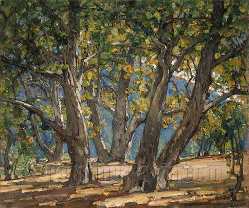 A Sycamore Grove - Laguna