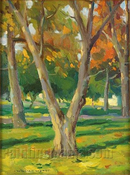 Sycamore Grove Landscape