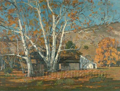 Sycamores Farm Landscape