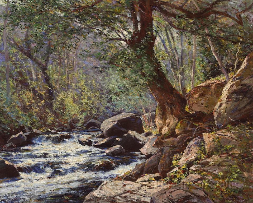 A Tranquil Stream in a Forest Interior