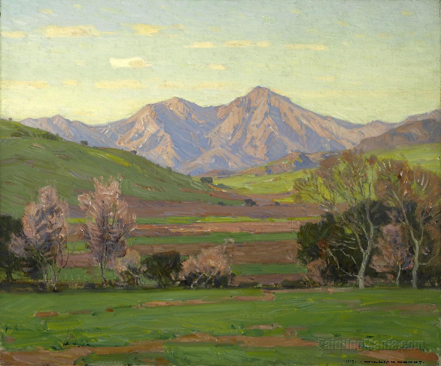 Verdant landscape with mountains beyond