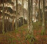 Forest Interior 1909