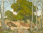 Oaks and Sycamores 1912