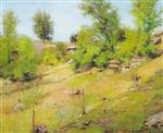 Springtime Landscape