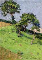 Trees on a Grassy Hillside